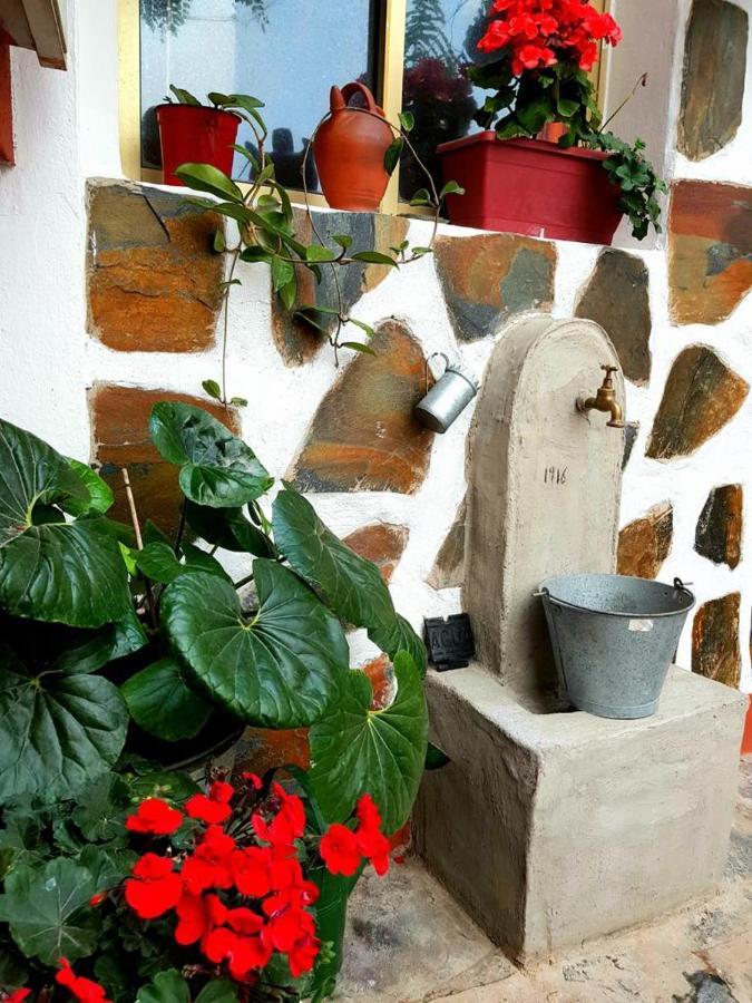Vivienda Vacacional Ca Na Paula La Orotava Extérieur photo