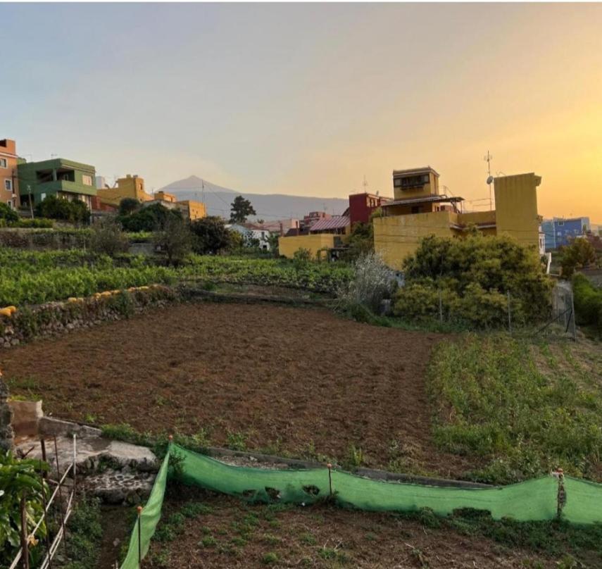 Vivienda Vacacional Ca Na Paula La Orotava Extérieur photo