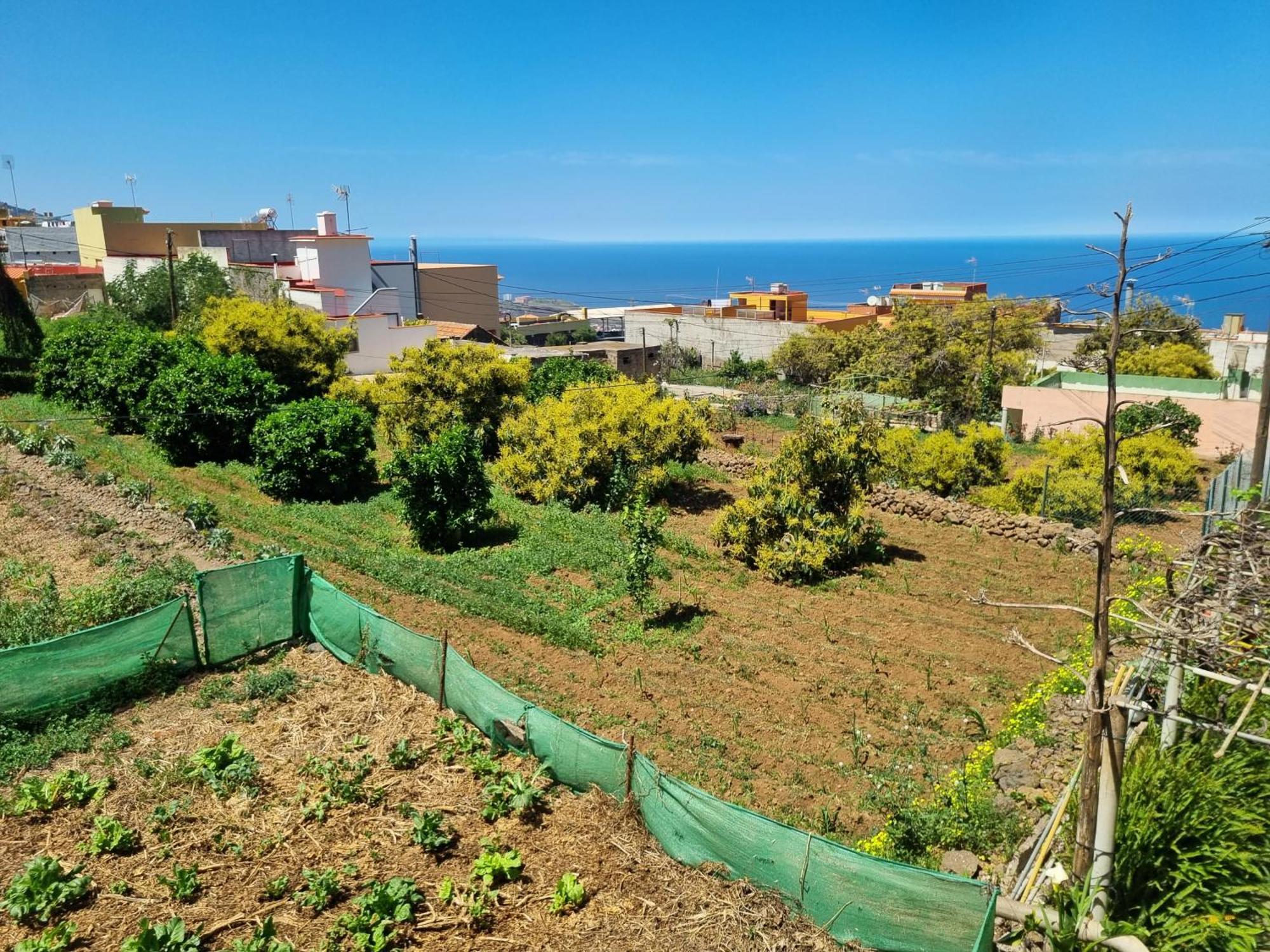 Vivienda Vacacional Ca Na Paula La Orotava Extérieur photo